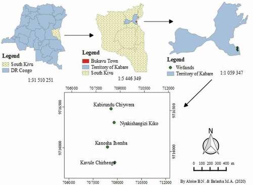 Figure 1. Map of South Kivu (eastern DR Congo) showing the territory of Kabare and the marshlands investigated