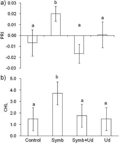 Figure 2. Effect of treatments (control, Symb, Symb + Ud and Ud) on (a) photochemical reflectance index (PRI) and (b) chlorophyll content index (CHL) of D. wilsonii plants. Values represent means (n =5 plants)±standard deviation. Different letters represent significant differences between treatments (one-way ANOVA followed by Duncan test, P≤5%).