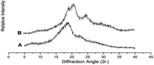 Figure 6. X-ray diffraction patterns of silk fibroins. (A) Pure silk fibroin. (B) Silk fibroin treated with dendrimer.