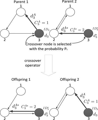 Figure 3. Illustration of the crossover operator.Source: drawn by authors with the help of R software.