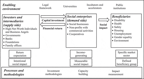 Figure 1. The impact investing environment.