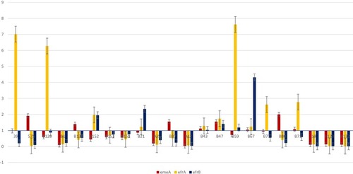 Figure 3 Fold changes expression of three different efflux genes (emeA, efrA, efrB) in 22 clinical MDR E. faecalis isolates.