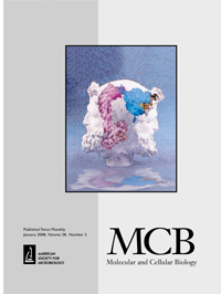 Cover image for Molecular and Cellular Biology, Volume 28, Issue 2, 2008