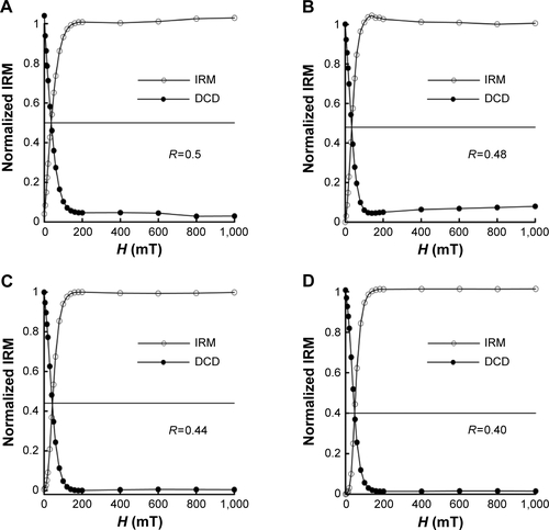 Figure S1 Magnetostatic interaction analysis of M-HFn nanoparticles.Notes: The Wohlfarth–Cisowski test curves of (A) M-HFn1000, (B) M-HFn3000, (C) M-HFn5000, and (D) M-HFn7000 at 5 K. R values are 0.5, 0.48, 0.44, and 0.40 for M-HFn1000, M-HFn3000, M-HFn5000, and M-HFn7000, respectively.Abbreviations: M-HFn, ferrimagnetic H-ferritin; IRM, isothermal remanent magnetization; H, applied magnetic field; DCD, direct current field demagnetization; R, magnetostatic interaction parameter.