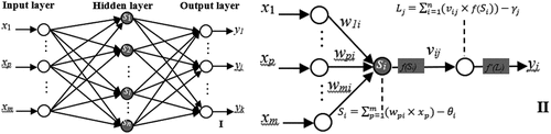 Figure 4. Illustrative map of a typical 3-layer BPANN.