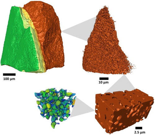 Figure 5. Illustration demonstrating that high-resolution tomography is necessary to extract microstructural features which affect diffusive mass transport.