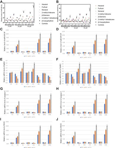 Figure 4 The RNA levels of miR-659-3p/SphK1 loop and apoptotic factors. (A) The effects of volatile compounds (Hexanal (A), Furfural (B), Nonanal (C), 2-methyldecane (D), β-Elemene (E), 2-Methyl-1-tetralone (F), β-Caryophyllene (G) and controls (H)) of chilli pepper on miR-659-3p level in NSCLC cell lines A549. (B) The effects of volatile compounds of chilli pepper on miR-659-3p level in NSCLC cell lines NCI-H1299. (C) The effects of miR-659-3p siRNA and mimic, and or β-Caryophyllene treatment on miR-659-3p level in NSCLC cell lines A549. (D) The effects of miR-659-3p siRNA and mimic, and or β-Caryophyllene treatment on miR-659-3p level in NSCLC cell lines NCI-H1299. (E) The effects of miR-659-3p siRNA and mimic, and or β-Caryophyllene treatment on relative mRNA level of SphK1 in NSCLC cell lines A549. (F) The effects of miR-659-3p siRNA and mimic, and or β-Caryophyllene treatment on relative mRNA level of SphK1 in NSCLC cell lines NCI-H1299. (G) The effects of miR-659-3p siRNA and mimic, and or β-Caryophyllene treatment on relative mRNA level of caspase-3 in NSCLC cell lines A549. (H) The effects of miR-659-3p siRNA and mimic, and or β-Caryophyllene treatment on relative mRNA level of caspase-3 in NSCLC cell lines NCI-H1299. (I) The effects of miR-659-3p siRNA and mimic, and or β-Caryophyllene treatment on relative mRNA level of BAX in NSCLC cell lines A549. (J) The effects of miR-659-3p siRNA and mimic, and or β-Caryophyllene treatment on relative mRNA level of BAX in NSCLC cell lines NCI-H1299. 40 μM of β-Caryophyllene showed the highest inhibitory effects on NSCLC growth and used in the subsequent experiment. All experiments were performed in triplicate.*P<0.05, **P<0.01 and ***P<0.001 vs the CG group.