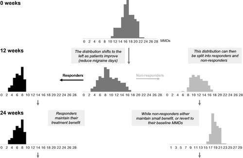 Figure 2. Detail of Assessment Period.