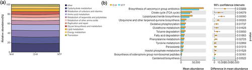 Figure 11 Effects of Naotaifang III on intestinal microbiota function.