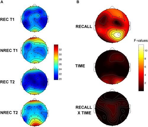 Figure 4 Topographic distribution and statistical maps of the activation index values. Panel A reports the topographic distribution of the activation index values (delta/beta ratio) of the last 5-min of REM sleep preceding awakenings of recall (REC) during T1 (1st row) and T2 (3rd row) and non-recall (NREC) during T1 (2nd row) and T2 (4th row). Panel B depicts statistical maps reporting the F-values of two ways ANOVAs recall × time for activation index values. The main effects (recall; time) are reported in the first two rows and the interactions (recall × time) are depicted in the 3rd row. The maps are based on 28 derivations (electrode positions indicated by black dots) with averaged mastoid reference. Values are color-coded and plotted at the corresponding position on the planar projection of the hemispheric scalp model. Values between electrodes were interpolated (biharmonic spline interpolation). Significant effect of the recall factor was found (P4: F=11.44, p=0.0081). White dots indicate significant effects after the Bonferroni correction (α=0.011).