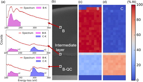 Figure 9. (a) EELS of amorphous B, intermediate superconducting layer (QB3), second superconducting phase (QB2), (b) HAADF image of B-doped Q-carbon, (c) B concentration profile, and (d) C concentration profile [Citation17].