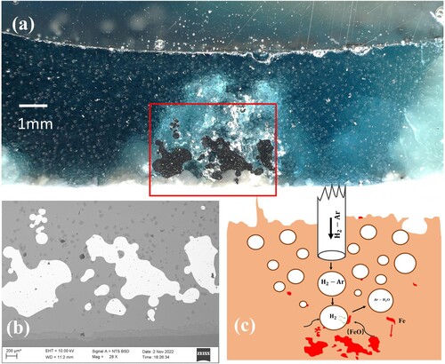 Figure 10. Reaction mechanism between the hydrogen gas bubbles and the molten slag during gas injection (a) Optical micrograph of sample cross-section, (b) SEM image, and (c) schematical diagram of bubble/molten slag reaction.