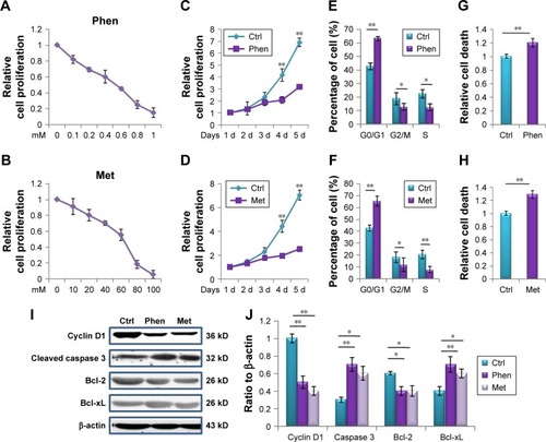 Figure 1 Phen and Met inhibited cell proliferation and arrested cell cycle of LN229 glioma cells.