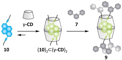 Scheme 3. (colour online) A 2:2 inclusion complex formed between γ-CD and pyrene derivative 10 gives rise to [4]rotaxane 9 after stoppering. (Reprinted with permission from (Citation 24 ). Copyright © 2014 WILEY-VCH Verlag GmbH & Co. KGaA, Weinheim).