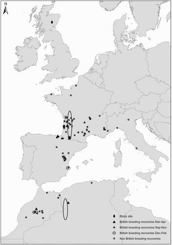 Figure 1. Median autumn stopover and wintering areas (ellipses) identified from geolocations from an ouzel tracked from Scotland, and recovery locations of British-ringed ouzels. Stopover and winter location ellipses represent the standard deviation of locations around the median point. British-breeding ouzels recovered in autumn (September–November: stars), winter (December–February: open circles) or spring (March–April: upward triangles) are shown alongside non British-breeding ouzels recovered during September–November (filled circles).