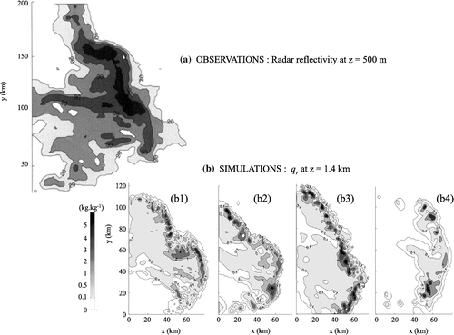 Fig. 9. Intercomparison of simulations of a mature squall-line performed with four distinct CRMs: the horizontal structure of the observed convective system is shown with a cross-section of radar reflectivity at 500 m above the surface in (a) and with simulated specific rain water (qr) at 1.4 km above the surface (b1–b4) – adapted from Redelsperger et al. (Citation2000a), © Copyright 2000 Royal Meteorological Society (RMS).