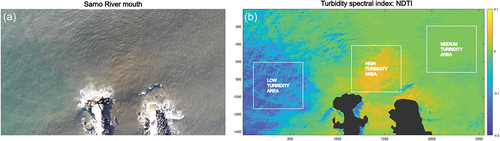 Figure 8. Outlet of the Sarno River: (a) RGB UAS image, (b) normalized difference turbidity index, NDTI = (R − G)/(R + G) obtained as the ratio between the red (R) and green (G) bands.