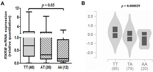Figure 1 Correlation between rs2072915 and RXRB mRNA expression levels. (A) Relative expression of RXRB mRNA in CSCC tissues stratified by the rs2072915. (B) Relative expression of RXRB mRNA in GTEx database stratified by the rs2072915.