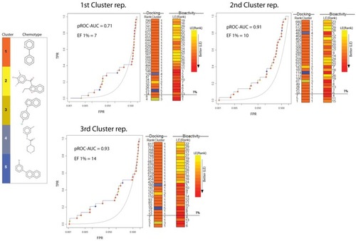 Figure 4 pROC-Chemotype plotCitation49 of the three cluster representatives of the MD. Bioactivity information represented by rank of ligand efficiency (LE) values. Lower-rank numbers (red) demonstrate better ligand efficiency. The enrichment factor (EF) evaluates the ability of the docking program to find true positives throughout the score-order list compared to the random selection. The EF was calculated in our protocol thus:Citation56 EF=BioactivessubsetNsubset/BioactivestotalNtotal.
