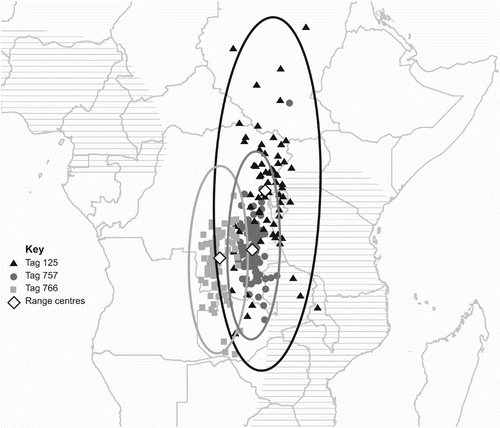 Figure 2. Map of Central Africa showing the wintering period for all three birds. Filtered locations for each bird are shown with 99% ellipses and the centres of the ranges are indicated by white diamonds: 125 by black triangles, 757 by dark grey dots and 766 by pale grey squares. The extent of the wintering ground as previously believed is shown by horizontal hatching.