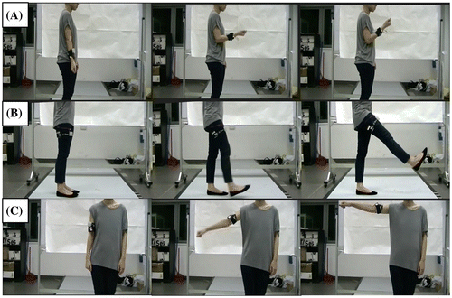 Figure 2. Example photos of instructor performing movement tasks (A) elbow flexion, (B) leg raise, and (C) shoulder stretch.