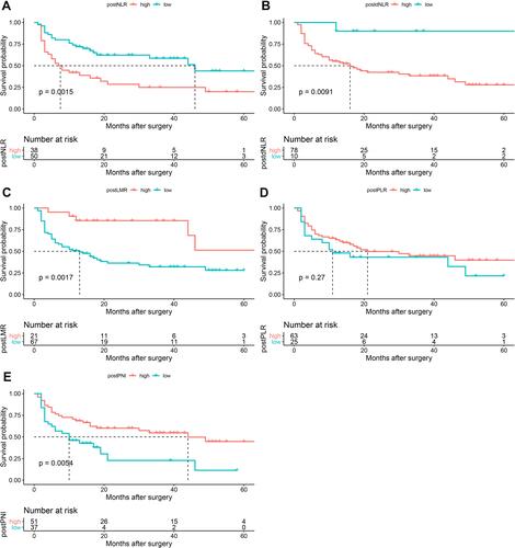 Figure 3 Kaplan‑Meier survival curves of DFS based on postoperative inflammation indicators. (A) postNLR, (B) postdNLR, (C) postLMR, (D) postPLR, (E) postPNI.