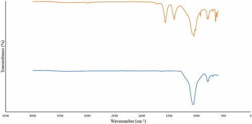 Figure 2. FT-IR spectra of raw silica and acetylated silica.