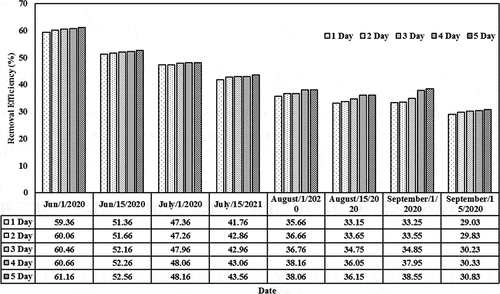 Figure 7. Removal efficiencies of cephalexin with a constant initial concentration of 0.15 mg/L in the CW