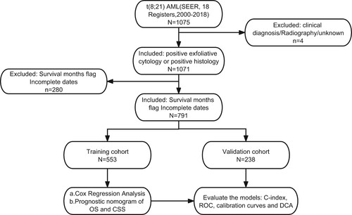 Figure 1. Flowchart for screening eligible patients and subsequent analysis process.