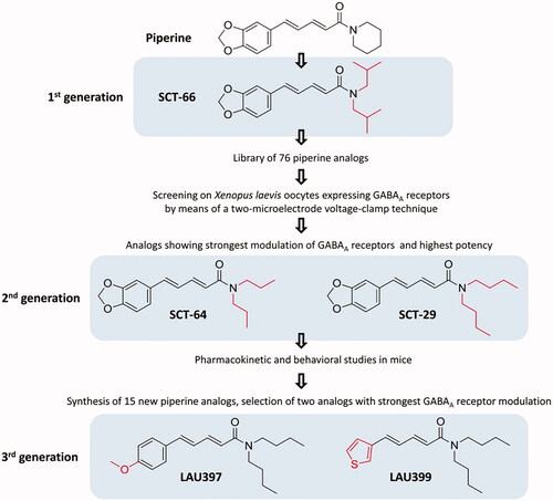 Figure 3. Key steps in the development of piperine to fully synthetic analogues.