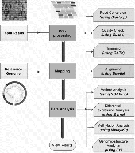 Figure 7. A working flowchart of NGS data analysis and the uses of various associated tools/pipelines.