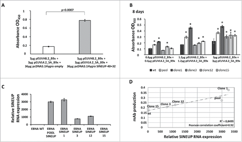 Figure 1. Increased production of anti-CLDN1 B9x IgG4 by transient and stable expression of the SINEUP-40+32 construct>. A. The ELISA assay shows increased production of full human B9x IgG4 in cells co-transfected with the construct expressing the SINEUP-40+32 lncRNA, targeting both heavy- and light-chain mRNAs of the anti-CLDN1 B9x antibody. B. The ELISA assay, revealing full human IgGs, shows the antibodies secreted by HEK293E (wt) and HEK293E_SINEUP-40+32 cells stably expressing the lncRNA (pool or isolated clones 1, 3, 12, 15) after 8 days following transfection with pEUVH8.2_B9x and pEUVL4.2_SA_B9x vectors. The asterisks indicate p values < 0.05 (compared to wt cells). C. The panel shows the levels of SINEUP-40+32 lncRNA transcripts in HEK293E (wt) cells and in HEK293E_SINEUP-40+32 clones. D. The chart reports the results of a correlative analysis of anti-CLDN1 B9x mAb production (y axis) against relative levels of SINEUP-40+32 lncRNA transcripts (x axis). B9x expression data used for comparisons were averaged from the whole set of results shown in the panel B of the Figure.