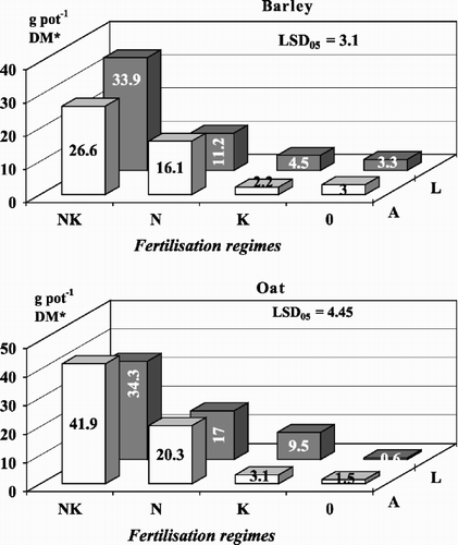 Fig. 5 Influence of P on the additional yield of spring barley and oats. Average of 2 trials (before and after lupins or clover). *DM: dry matter on (A) acid soil and (L) limed soil.