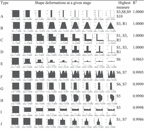 Figure 12. Deformations of a reference shape at regular intervals and their correlations with the measures of squareness