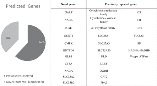 Figure 2. From the total of 29 predicted essential gene sets, 18 gene sets (62%) were previously reported in the literature to be linked to ATP production, and thus, to asthenozoospermia. To the best of our knowledge, the other 11 gene sets (38%) have not previously reported to be linked to asthenozoospermia. The accompanying table shows a list of these genes.