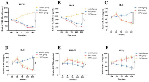 Figure 6. The expression levels of blood immune factors TGF-β1 (A), IL-2R(B), IL-6(C), IL-8(D), HSP-70(E) and INF-γ(F) were detected by ELISA in each group after HIFU ablation. (n = 5, *p < 0.05, **p < 0.001).