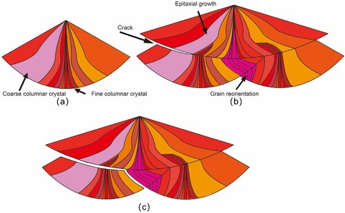 Figure 13. Schematic of crack extension evolution after the molten pool undergoes lapping. (a) schematic of grain growth inside the molten pool for a single-track; (b) schematic of crack interlayer expansion after the molten pool undergoes lapping; (c) schematic of downward crack expansion.