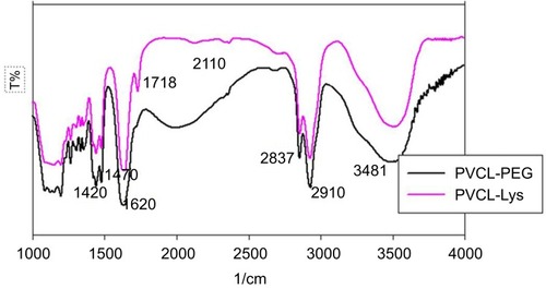 Figure S1 FT-IR spectra of PVCL-PEG and PVCL-Lys.Abbreviations: PVCL, poly(N-vinylcaprolactam); PEWG, poly(ethylene glycol).