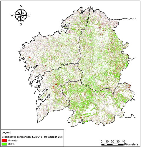 Figure 15. Graphical representation of the spatial comparison of the Broadleaves distribution in the LCMG19 and the MFE Level 1: the LCMG19 vs the MFE considering SP1, SP2 and SP3. In green: pixel matches; in red: pixel mismatches.