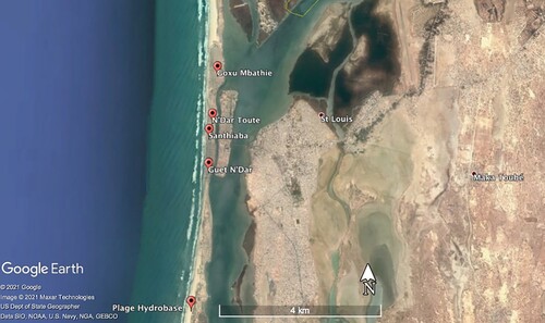 Figure 1. Study area, from Google Earth.