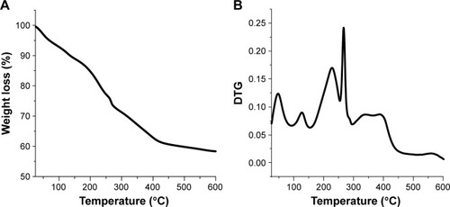 Figure 4 Thermogravimetric (TG) analysis curves: (A) TG and (B) differential thermogravimetric (DTG) of nanohybrid CD-LDH.Abbreviations: LDH, layered double hydroxide; CD, cefadroxil.