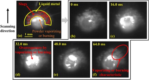 Figure 4. Metallurgical behaviours of the molten pool observed by the coaxial camera, (a) typical molten pool characteristics, (b)∼(f) the molten pool images at different times. Among (b)∼(f), (d) emerges the overexposure phenomenon due to the unmelted powder vaporizing or burning, and (f) shows the vaporizing or burning characteristic.
