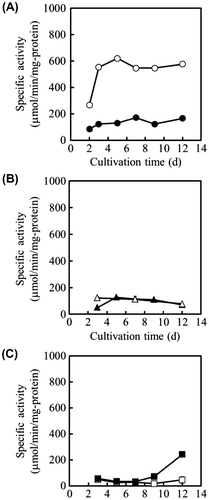 Fig. 4. Specific Activities of ICDHs in A. niger Strains Cultivated under Citric Acid-Producing Conditions.Note: (A) Specific activity of NADP+-ICDH. (B) Specific activity of NAD+-ICDH. (C) specific activity of ICL. Symbols: WU-2223L (●, ▲, ■); OPI-1 (○, △, □).