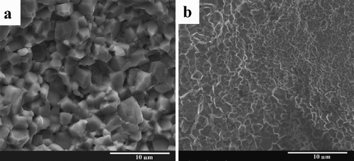 Figure 14. SEM micrographs of SrTiO3 obtained using (a) FS (150 V cm−1 DC), TF = 1200°C) and (b) conventional sintering (1400°C for 1 h). Adapted from Yoshida et al. [Citation47].