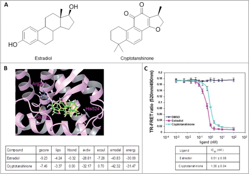 Figure 1. CPT is an ERα modulator. (A) Chemical structure of estradiol and CPT. (B) Molecular model of estradiol and CPT docking with ERα. The protein structure is shown in plum color (ribbon), CPT and estradiol are shown in green and yellow carbon scheme, respectively. Hydrogen bonds are shown in blue dashed lines. (C) Direct binding of CPT to ERα in the ERα competitive-binding assay. Assay composition consisted of serial dilutions of the indicated compounds in 1% final DMSO concentration, 2 nM ERα-LBD, 3 nM Fluormone™ ES2 Green, and 2 nM Tb anti-GST antibody. Results are shown with the corresponding IC50 values. Experiments were repeated 3 times. Data shown are the mean ± SD.