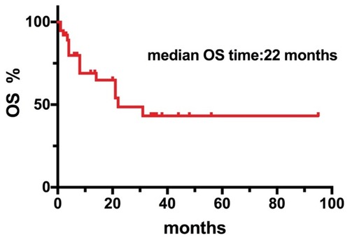 Figure 1 Kaplan–Meier curve of the median OS durations of 38 DLBCL patients after CNS involvement.
