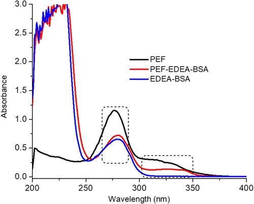 Figure 3. Characterization of PEF-EDEA-BSA conjugate by UV spectrophotometric.