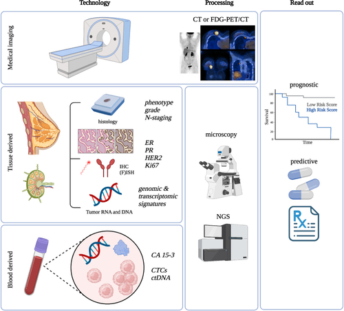 Figure 2 Overview of established and evolving biomarkers and their assessment as well as clinical read out in luminal breast cancer.