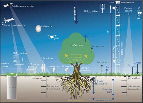 Figure 14. A schematic of an ecosystem experiment designed to measure transpiration and evaporation from soil and intercepted water using multiple complementary measurement approaches (Stoy et al., Citation2019).