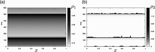 Figure 4. Oscillatory dynamics generated from the Turing instability for the go-or-grow model. Spatio-temporal evolution of (a) motile and (b) static populations. The horizontal axis is used for space and the vertical one for time. Both curves correspond to the long-time evolution of the simulations presented in Figures 3(b) and (c). (a) The dashed lines represent the contour level , the value of the initial uniform steady-state ( for the simulation). These contour levels suggest an almost spatially uniform distribution of motile cells that increases after the initial instability depicted in Figure 3(b) and (c) until a threshold (reached at t≃140), where motile cells become static (i.e. ρ1 decreases by feeding the static population). This corresponds to the development of a new instability of the static population, which later stabilizes and feeds again the motile population, thus increasing again until similar dynamics are repeated at t≃500. (b) The dotted and dashed lines represent the contour levels ρ2=0.01 and ρ2=0.1, respectively. They suggest that low values of the static population correspond to almost uniform distributions (i.e. ρ2(x, t)≃ρ2(t)). When the immotile population increases enough due to an influx from the motile population (at times t≃140 and t≃500), an instability occurs and briefly leads to a non-uniform distribution of immotile aggregates. The latter disappear shortly by releasing cells into the motile population due to the lack of density until the process repeats.